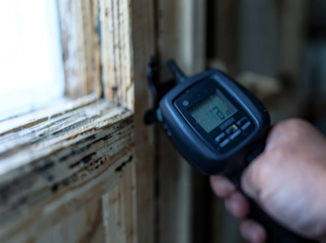 Commercial Water Damage Restoration in Westfall, OR
